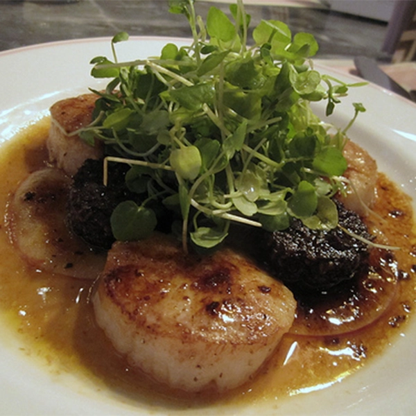Scallops topped with black pudding with potato, celery and apple mash